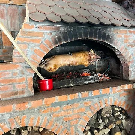 Tatil Evi Fip Pure *